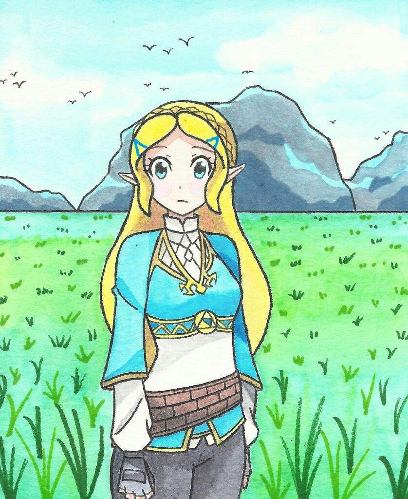 How To Draw Princess Zelda Botw