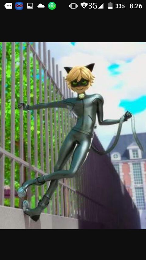 Ladybug y chat noir | •Miraculous Ladybug Español• Amino