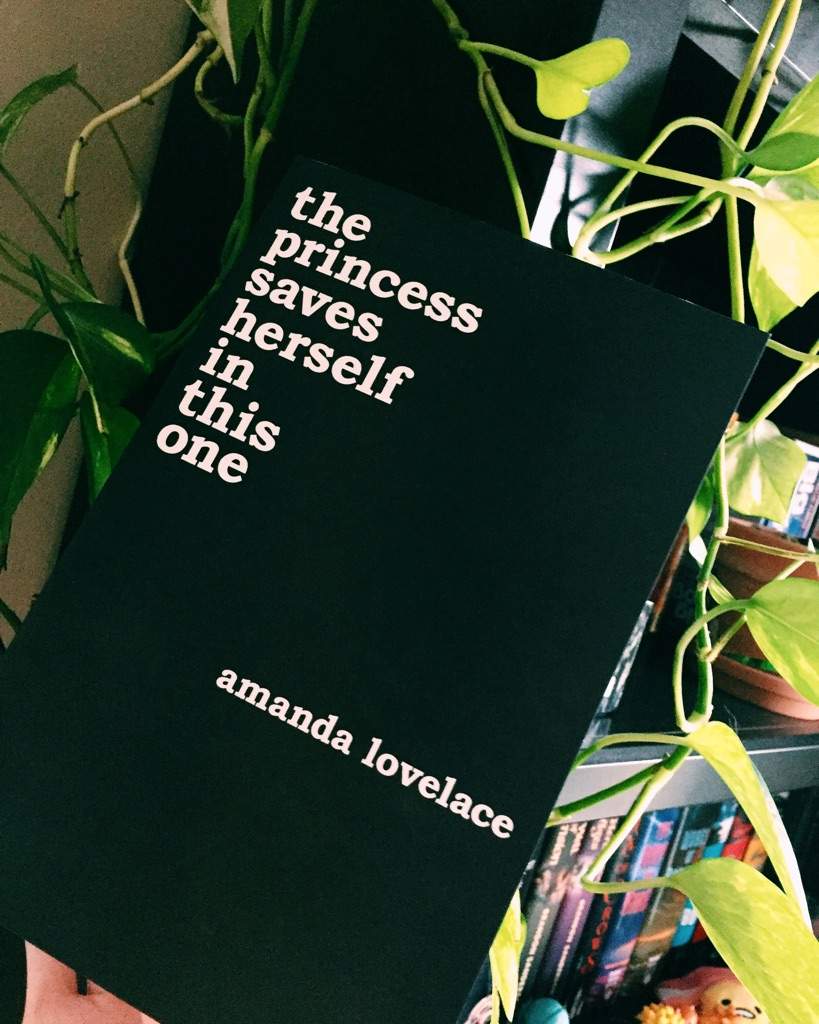 amanda lovelace the princess saves herself