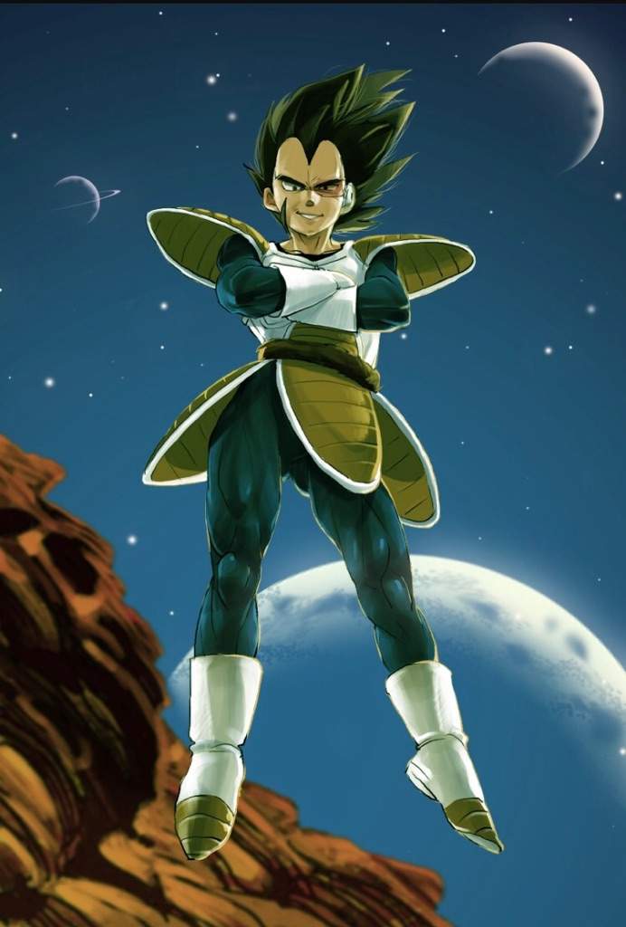 vegeta casual