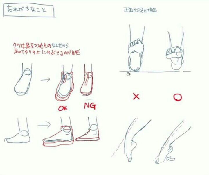 Anatomy tips | Wiki | Transgender Art Amino