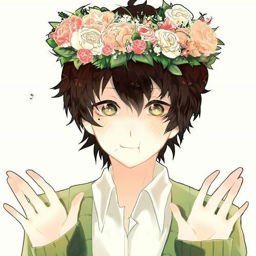 Anime Shinji Ikari Kaworu Nagisa Manga Art, Anime, flower Arranging, manga  png | PNGEgg