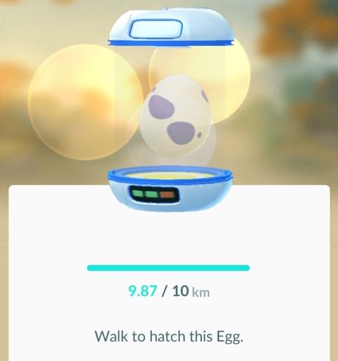 My 10k egg about to hatch | Pokemon GO Amino