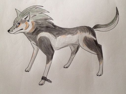 Wolf Link Drawing for ItsNayNay! | The Legend of Zelda Amino