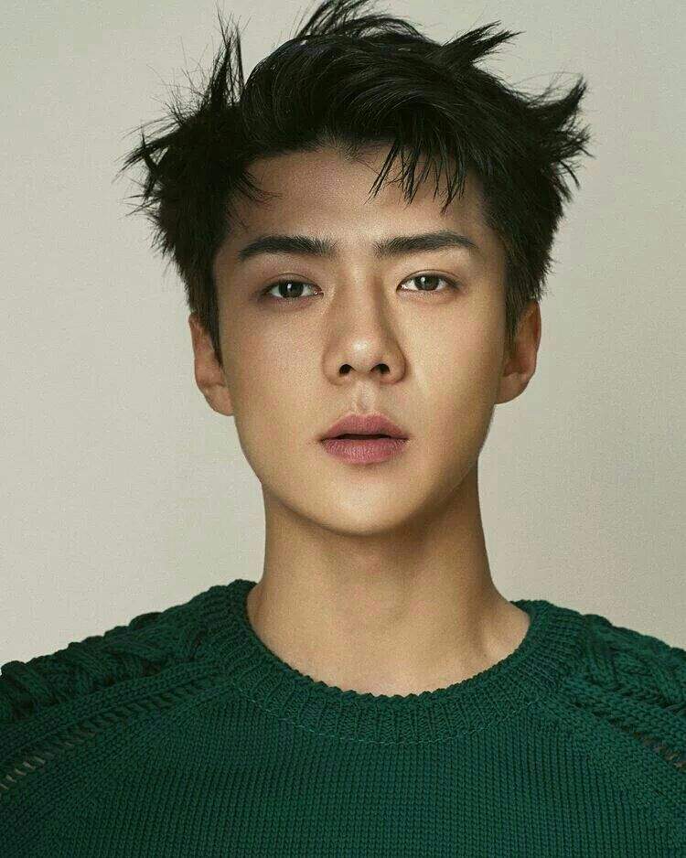 Model Oh Sehun | EXO (엑소) Amino