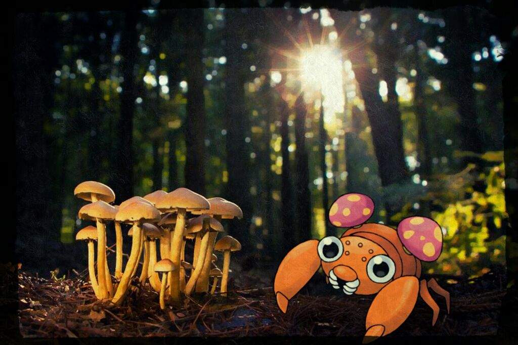 Paras And Mushrooms Pokémon Amino