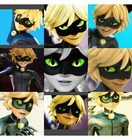 Chat Noir Wallpaper Collage - Inside my Arms