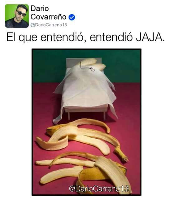 Categorias