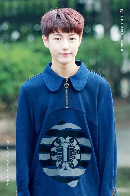 Nct Ren Jun Ethnicity Nationality Explained K Pop Amino