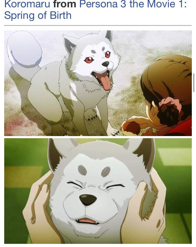 Anime Where Guy Gets Reincarnated As A Dog Top 20 cute anime dogs | Anime Amino