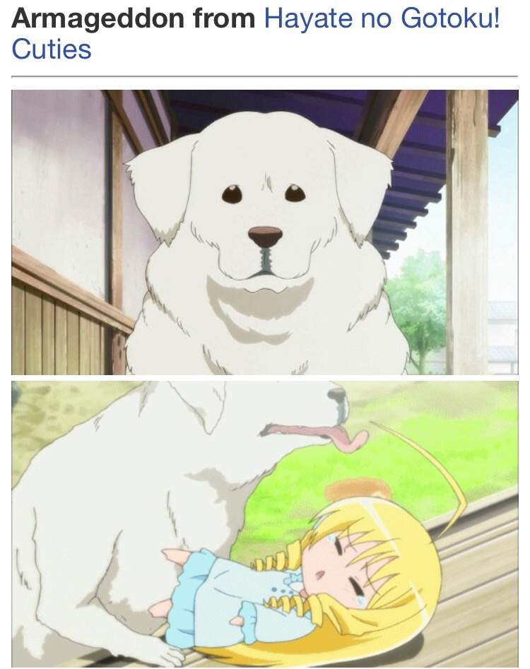 Top 20 cute anime dogs | Anime Amino