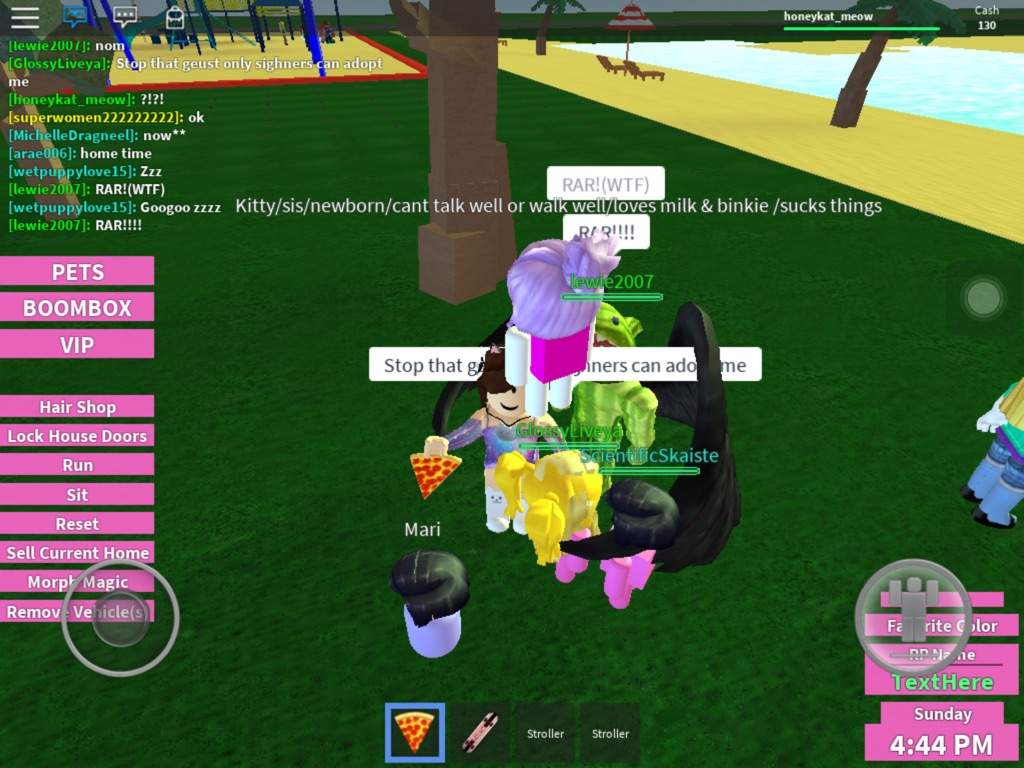 Having A Family In Roblox First Game Review With Honeykat Meow Roblox Amino - gamer girl roblox 2007