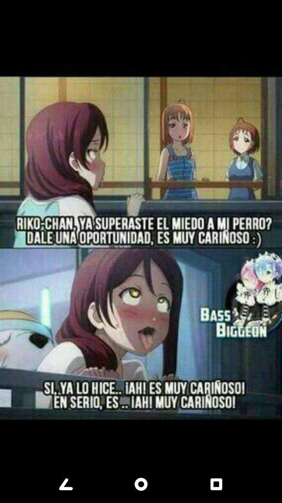 Zoofilia \:v/ | Wiki | •Anime• Amino
