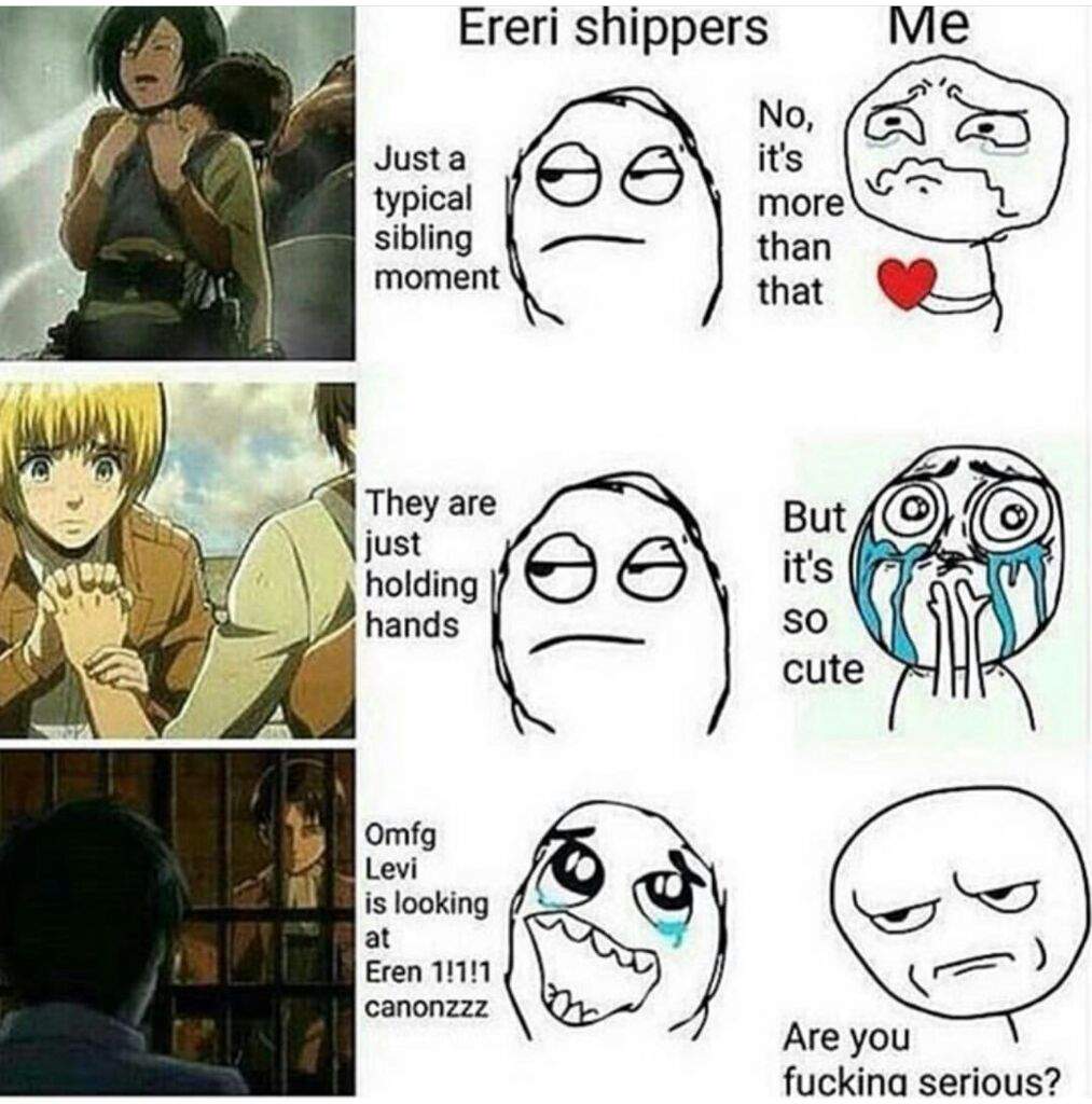Typical Ereri Shippers | Attack On Titan Amino