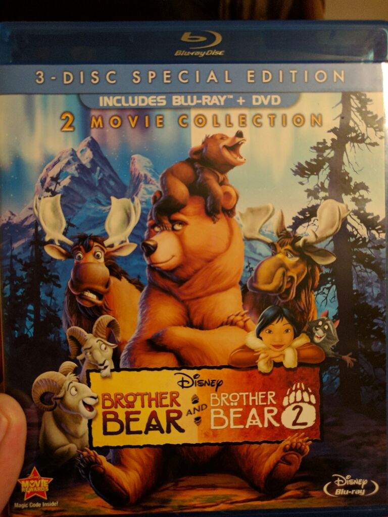 brother bear and tarzan dvd
