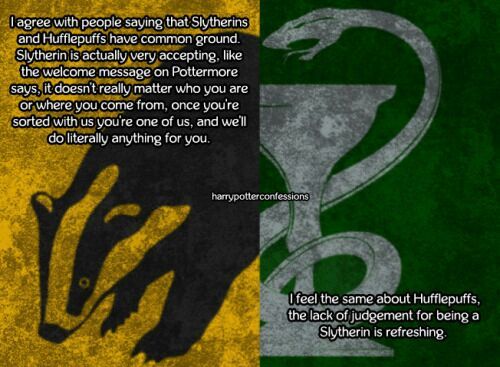 Hufflepuff And Slytherin Friendship Harry Potter Amino