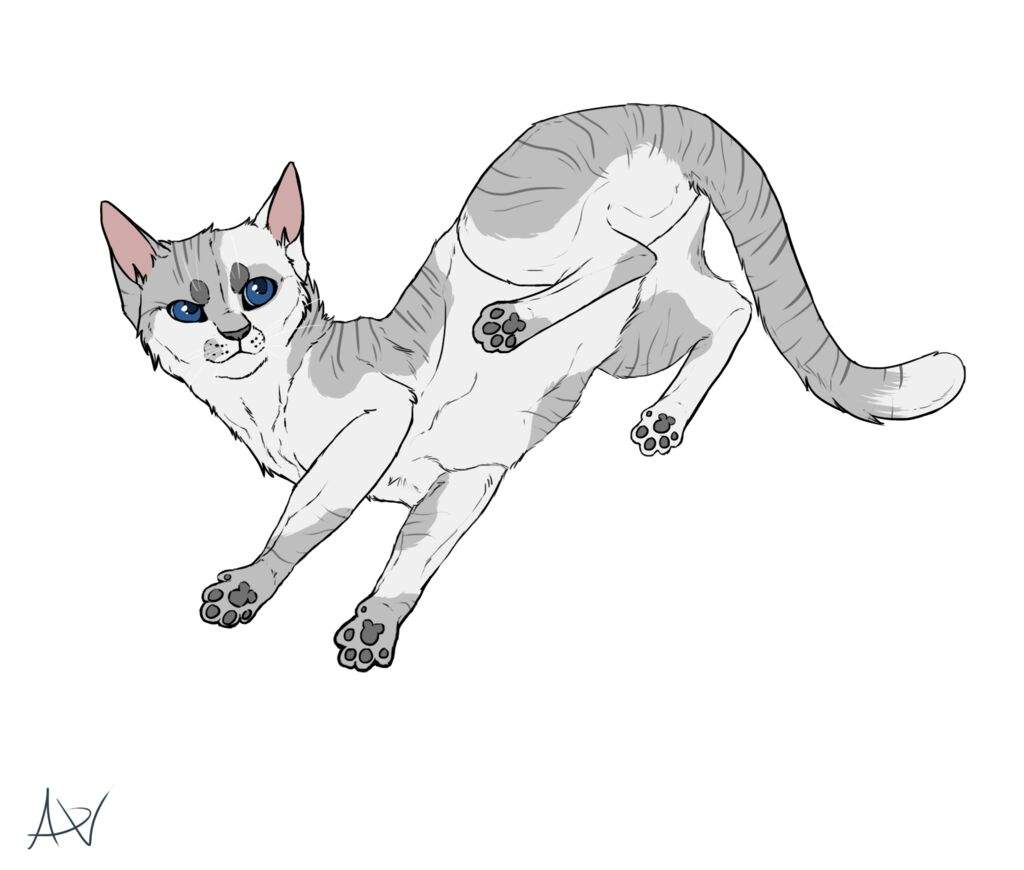 Ivypool | Wiki | Warriors Amino