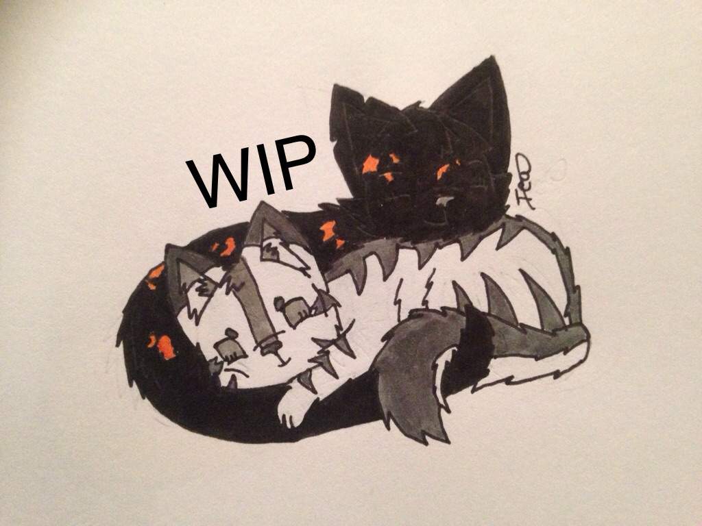 Forbidden Love Art Wip Warriors Amino