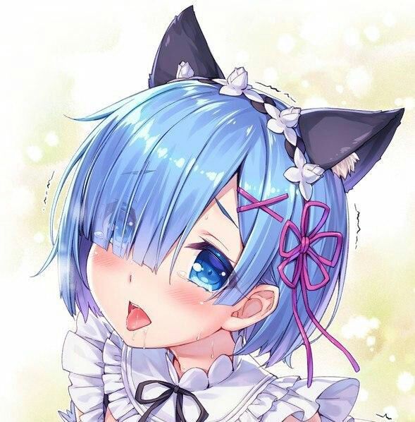 Миу, кити, кити кет. | Anime Amino