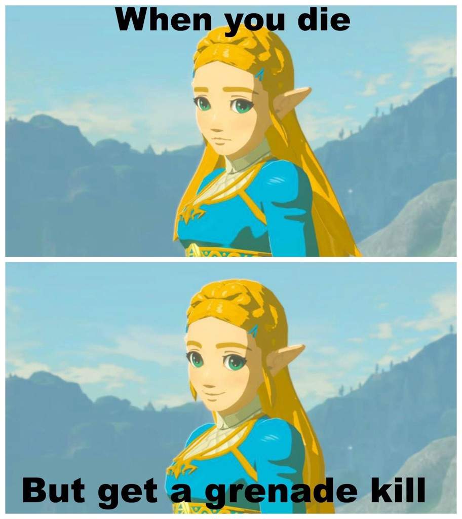 I Made A Meme Zelda Amino I Made A Meme Zelda Amino