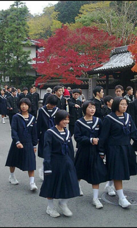 Школы японии видео. Школа Японии 2000. Школа в Японии начальная школа. Старшая школа в Японии. Школы Южной Кореи старшая школа.
