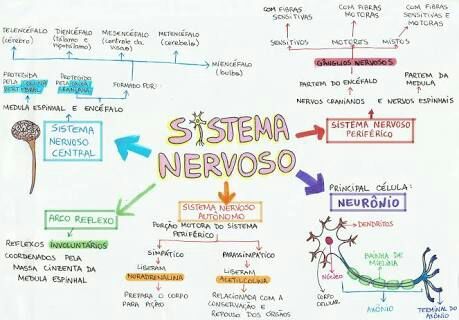 Mapa Mental | Aprendendo Coreano Amino