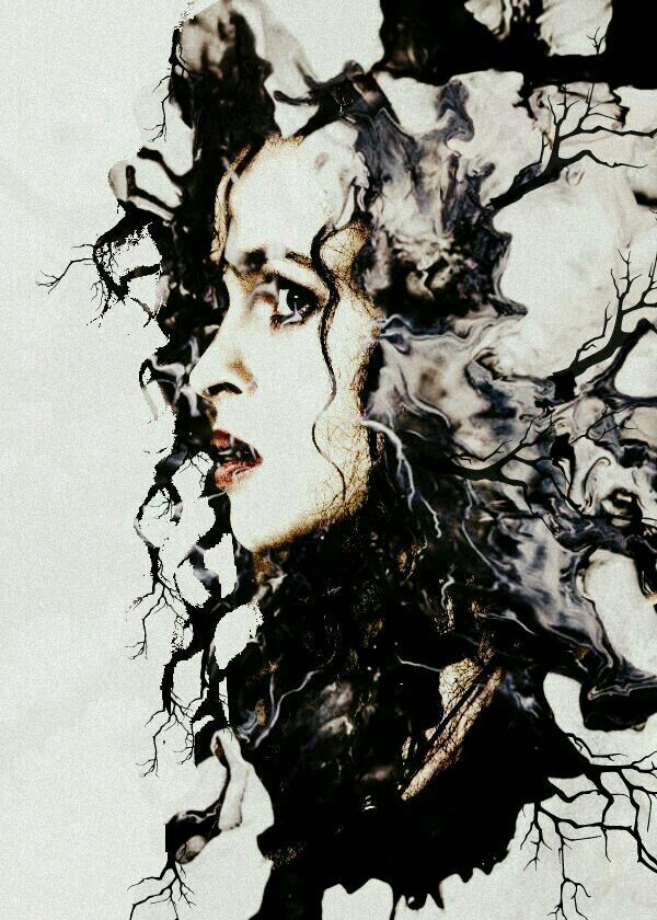 Bellatrix Rosier Black | ⚡.HARRY POTTER.⚡ Amino