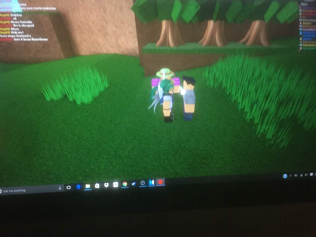 Roblox Pokemon Brick Bronze Roblox Amino - green and bronze roblox game