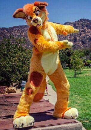 Sunny Dingo | Wiki | Furry Amino