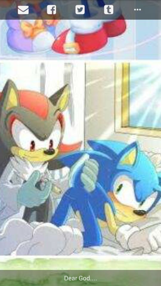 That moment when your in the wrong side of the sonic fanbase Sonic