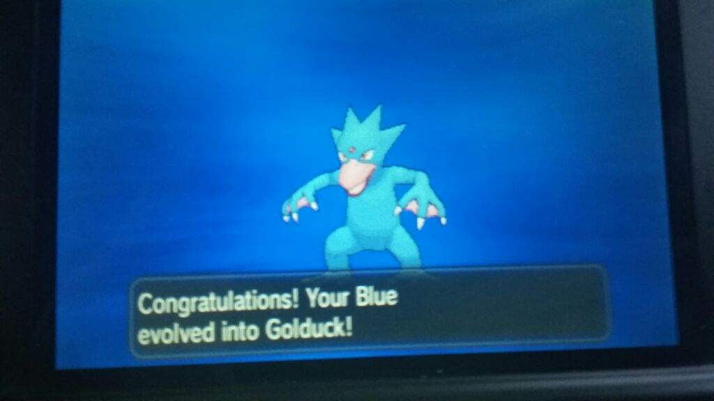 Shiny Golduck Shiny Pokemon Amino Amino