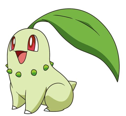 Chikorita | Wiki | Pokémon Amino