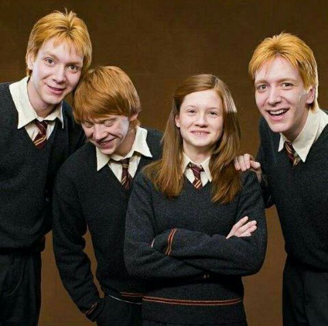 FAMILIA WEASLEY | •Harry Potter• Español Amino