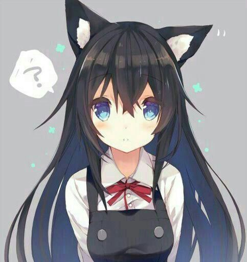 Maki (neko)(ficha) | Wiki | •Kemonomimi Y Nekos Amino• Amino