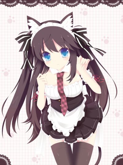 Aqui unos fondos de pantalls de nekos | Nekopara Amino En Español Amino