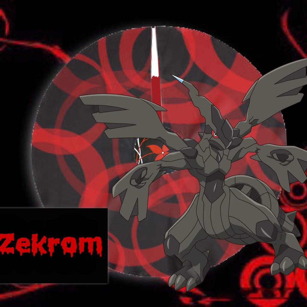 ゼクロム Zekrom Pokemon Amino