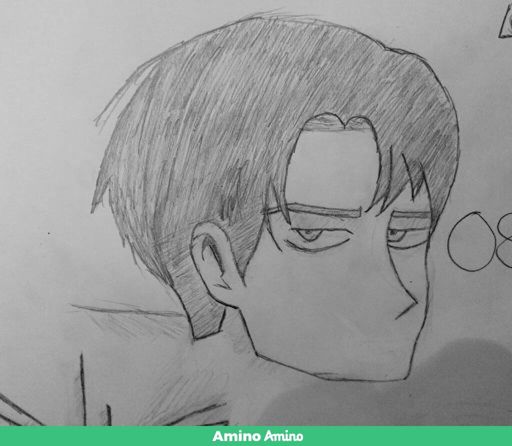 Cpt. Levi | Wiki | Attack On Titan Amino