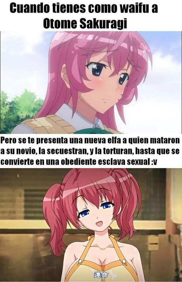 Fiel a otome-chan :'v | •Anime• Amino