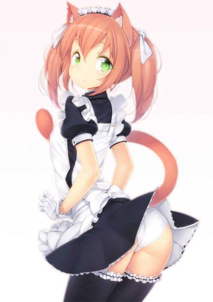 Cat girl maid anime