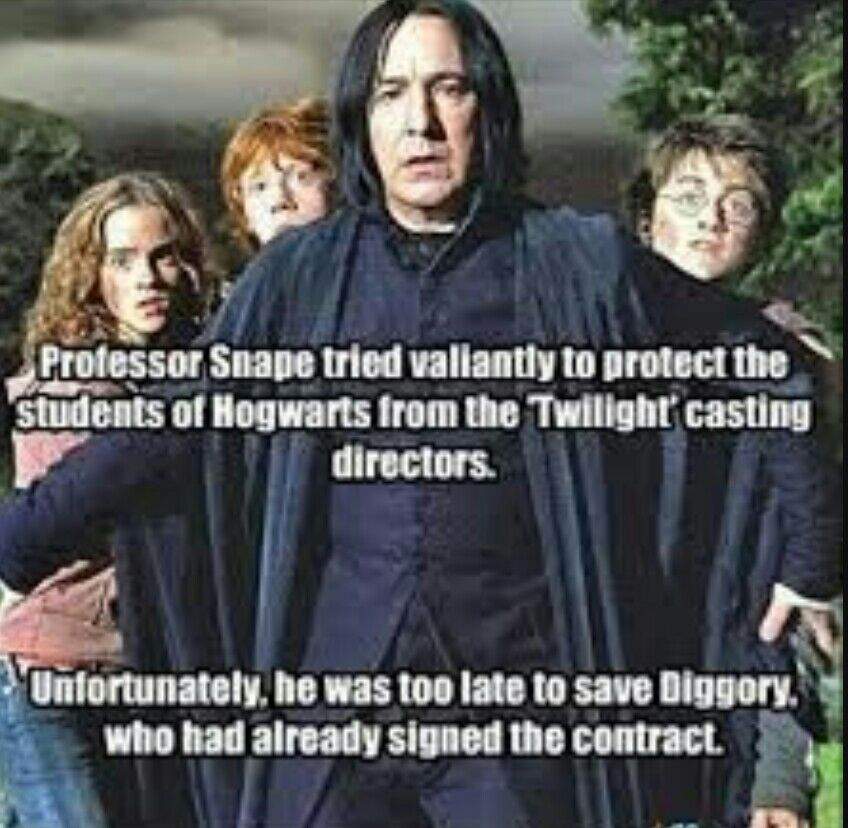 The Contract.....(HP meme) | Harry Potter Amino