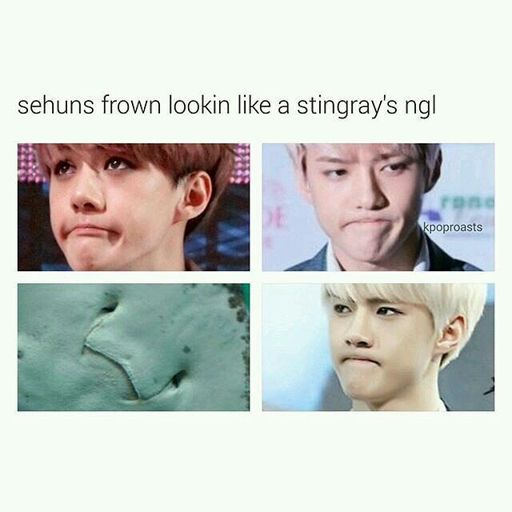 Sehun Meme #1 | EXO (엑소) Amino