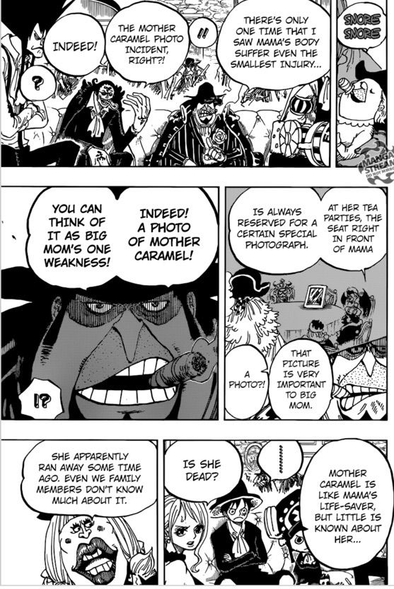 One Piece 859