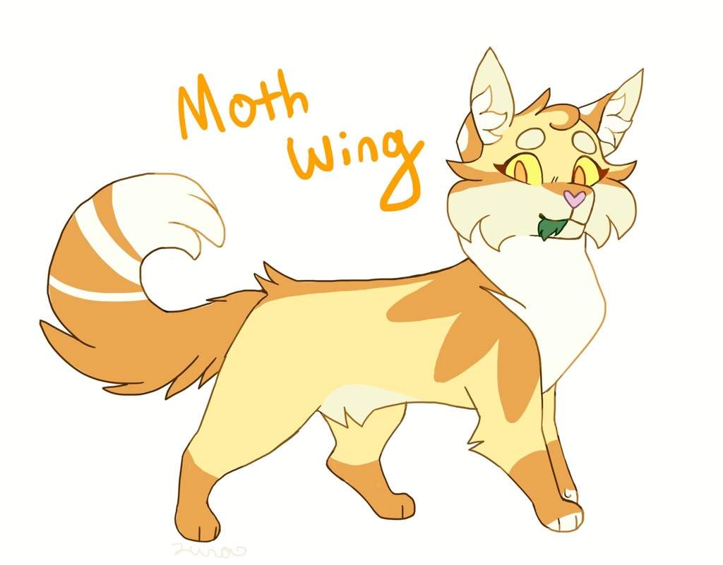 Mothwing | Warriors Amino