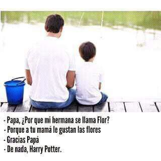Un padre ejemplar | •Harry Potter• Español Amino
