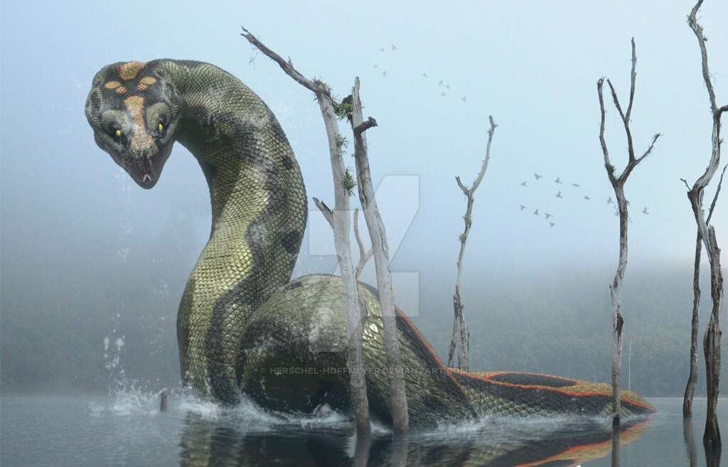 Titanoboa | Wiki | Amino Paleontología Amino