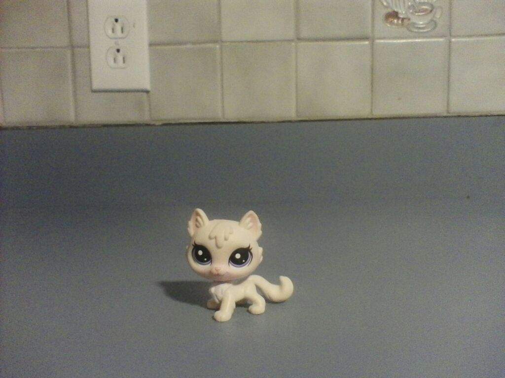 lps fat cats