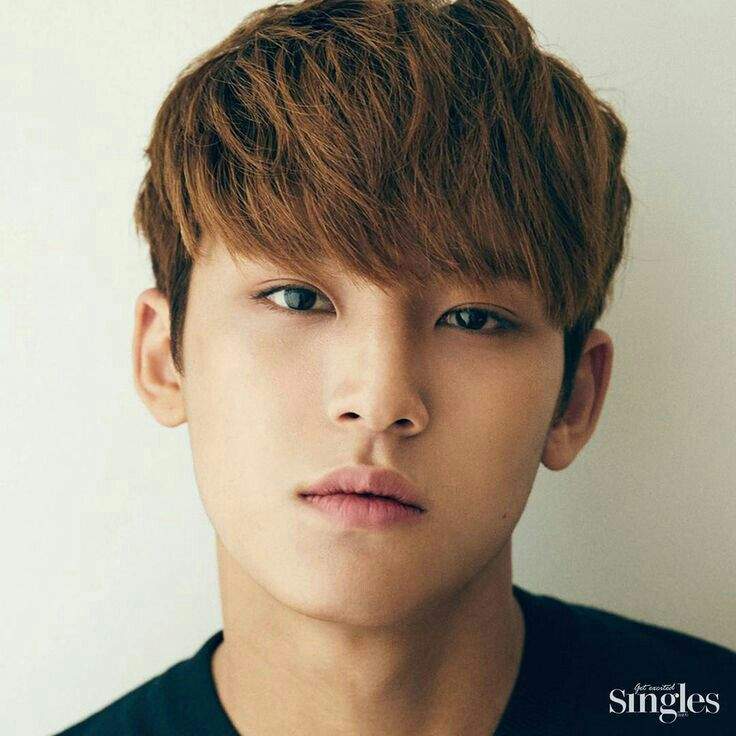 Kim Mingyu: member of the day | Seventeen Amino Amino