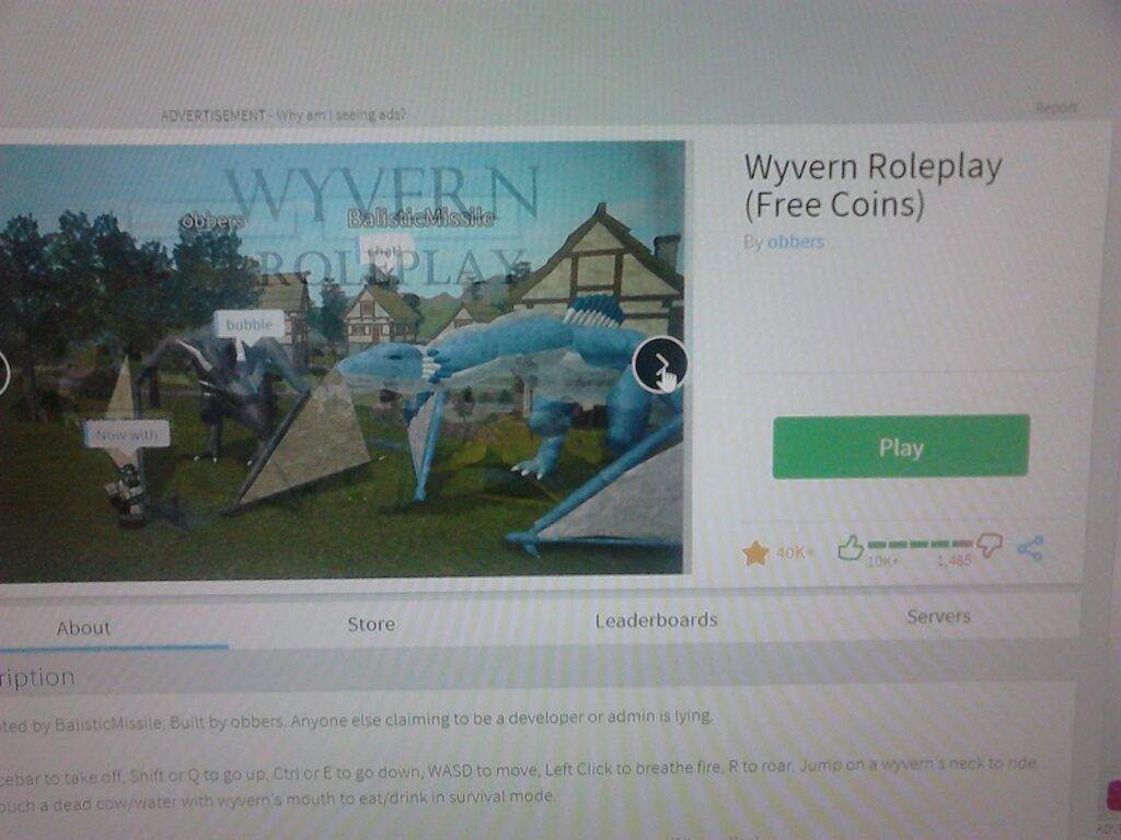 Wyvern Rp Roblox Amino - roblox wyvern roleplay