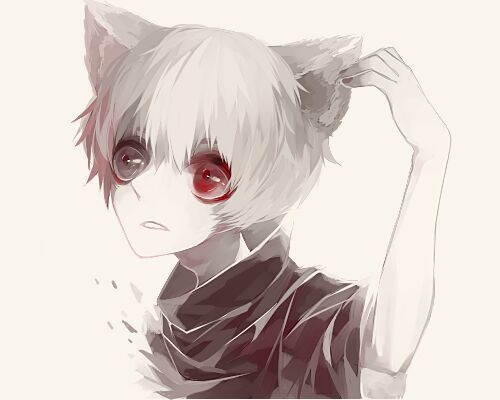 Neko kaneki | Wiki | ・Tokyo Ghoul・ Amino