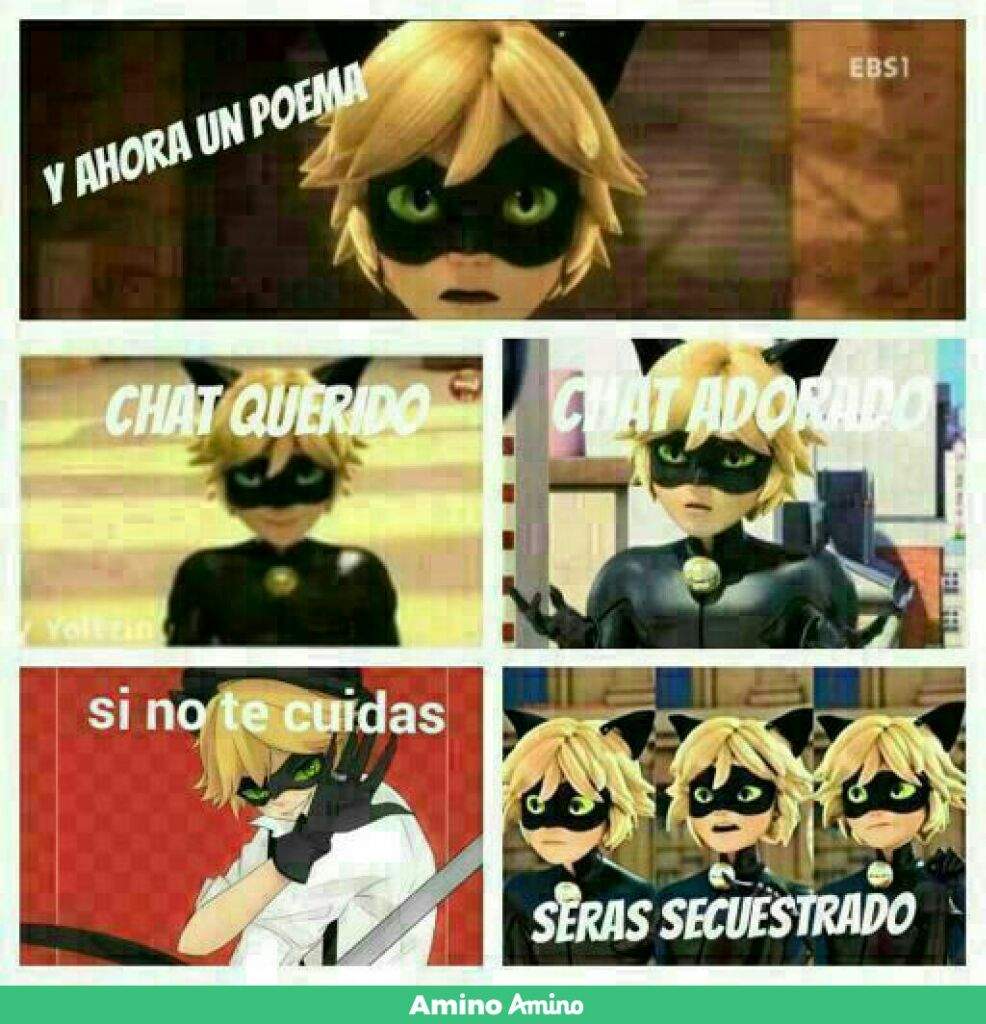 Un Poema Miraculous Ladybug Amino Amino